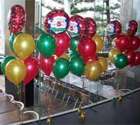Balloon Modeller Clonakilty